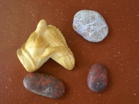 EN 2009 - EN BOIS PETRIFIE