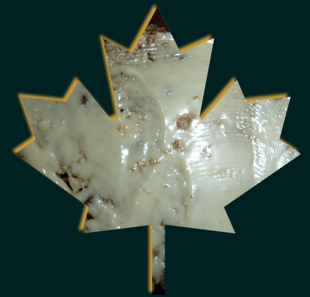 Vers le bilan du voyage...