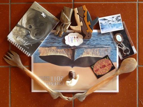 EN 2010, UN PEU DE TOUT